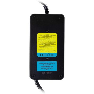 Incarcator Detoolz pentru scuter electric
