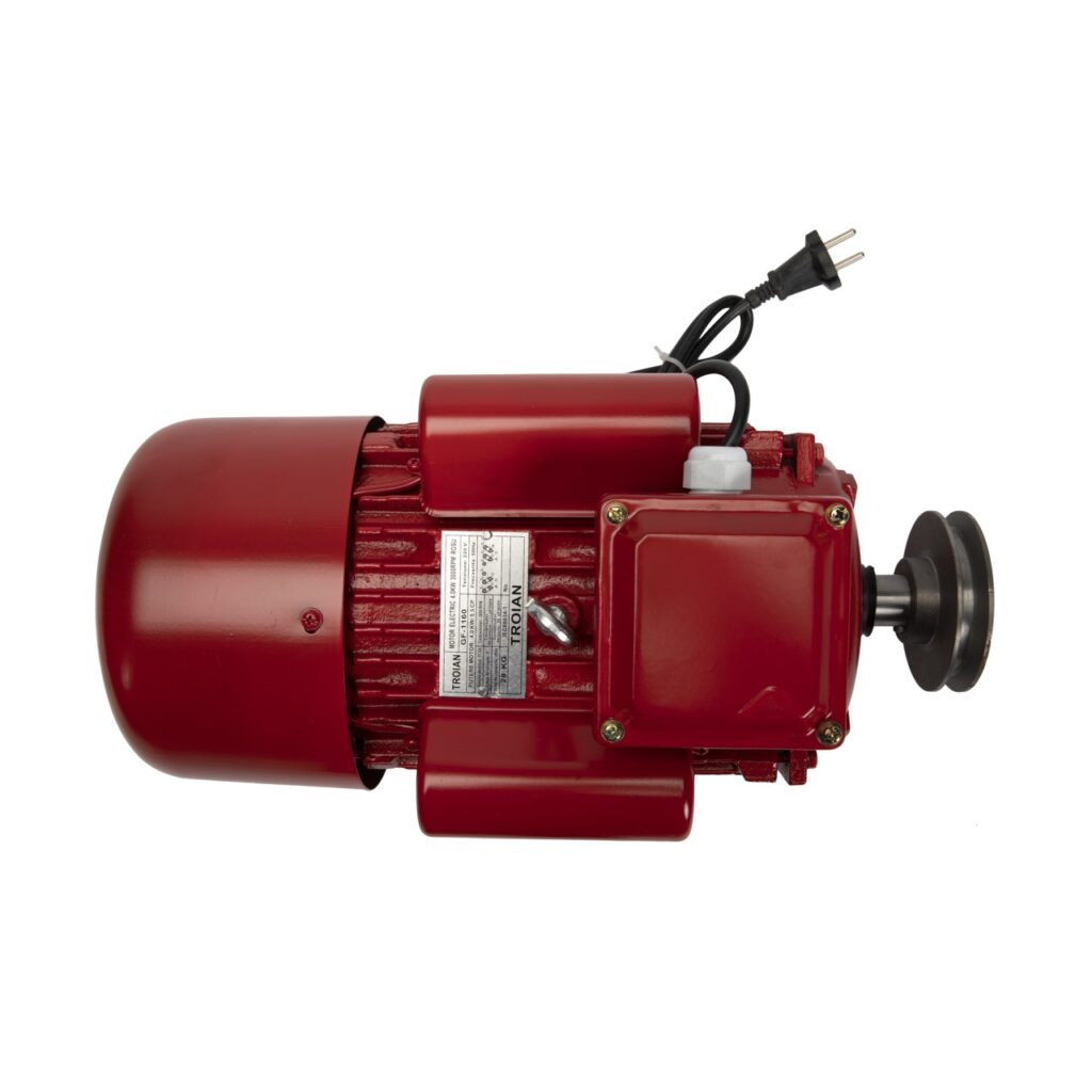Motor electric Micul Fermier 4KW, 3000 rpm, carcasa fonta - Motoare