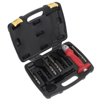 Set dalti si dornuri, 10 piese, Sealey
