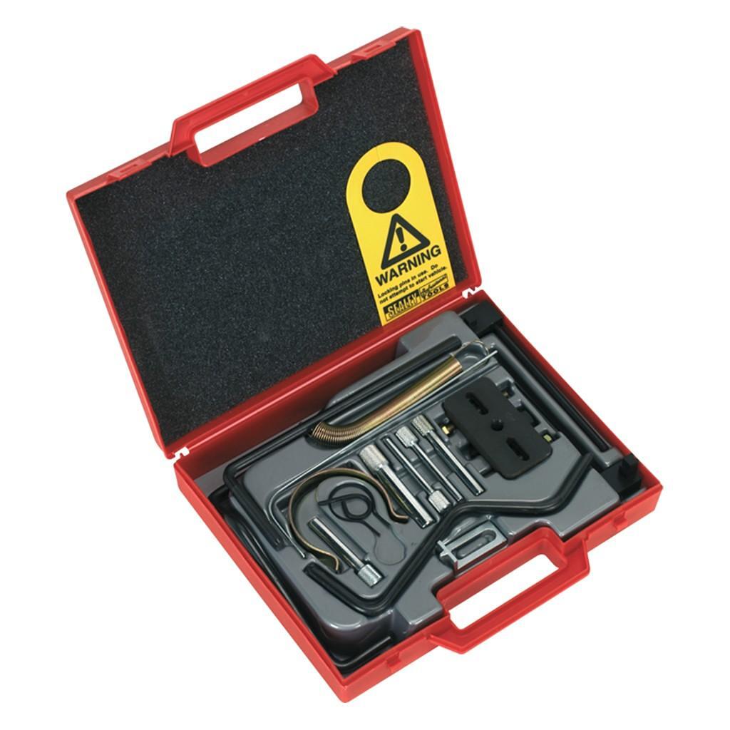 Set dispozitive de blocare-distributie curea (Belt), PSA - Blocaj distributie