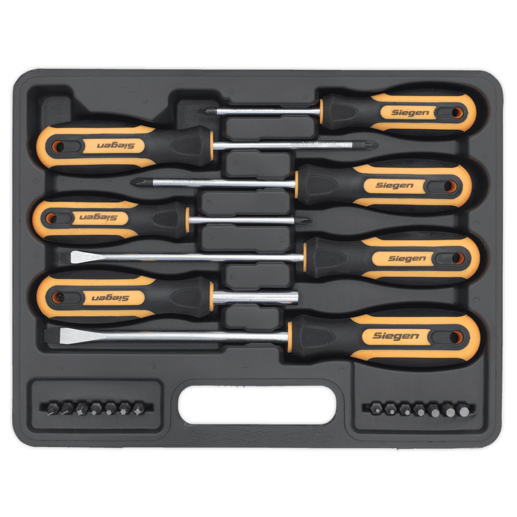 Set surubelnite si biti, 21 piese, Sealey - Surubelnite/Torx-uri si Inbusuri