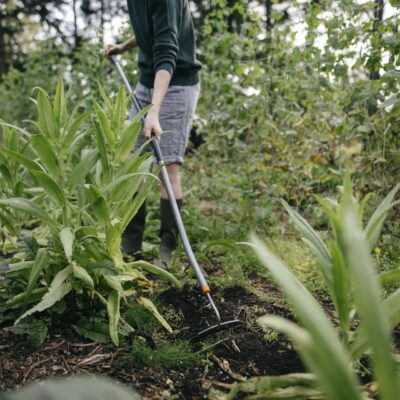 Sapaliga Ergonomic Fiskars - SimpleTools