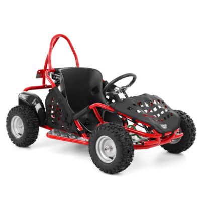 HECHT 54879 - Buggy pe benzina