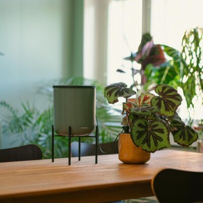 Sistem de udare Fiskars Plant care - imagine 3