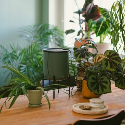 Sistem de udare Fiskars Plant care - imagine 4